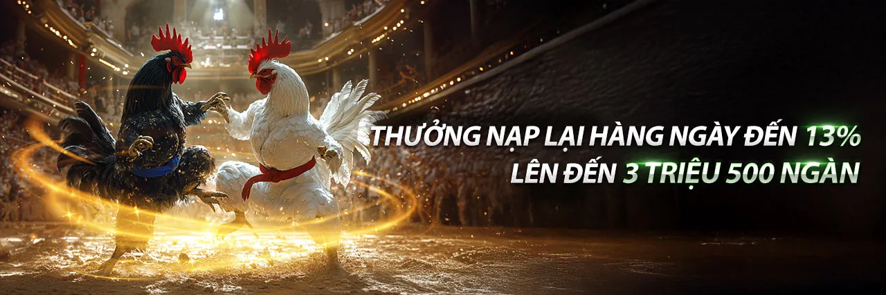 Đá Gà Trực Tiếp tại 123b ios